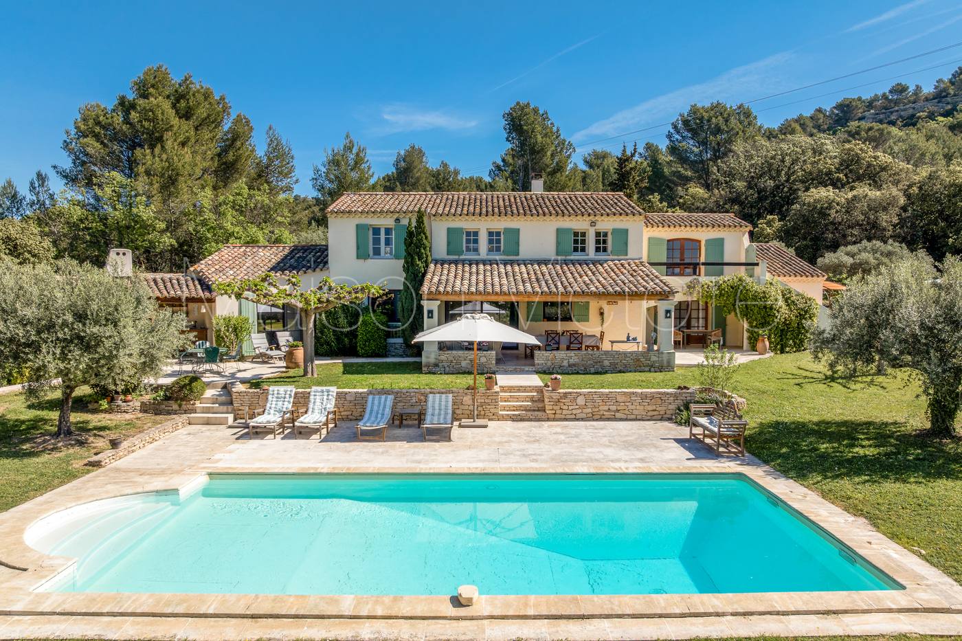 Terrasse oliviers